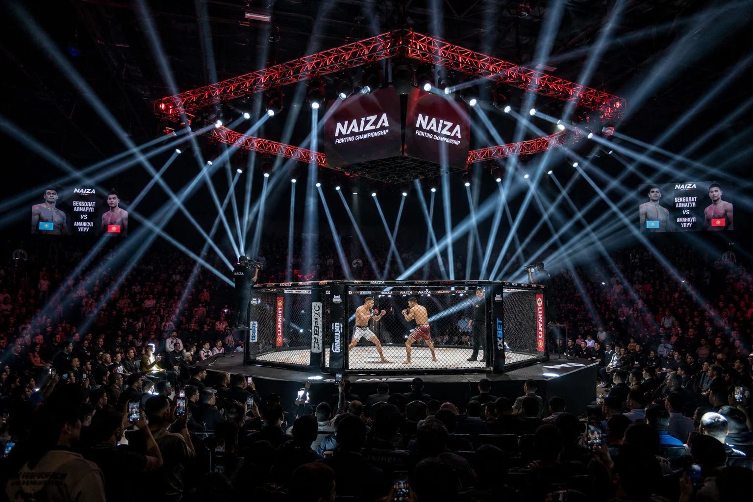MMA арена со светом